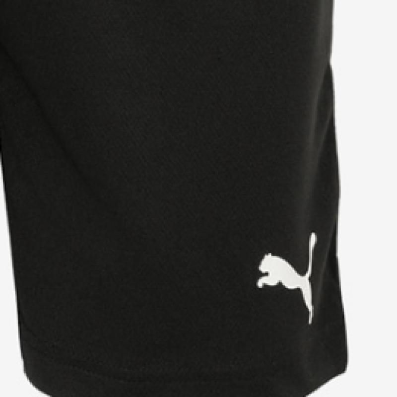 Puma Galleria Puma Sportswear Team Rise Тренировочный костюм Шорты Азия Сп