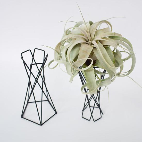 Подставка для растений, экологически чистая дышащая, в скандинавском стиле, прочная, минималистичная, с железным креплением, дизайн в виде ананаса, держатель в горшке, садовые принадлежности