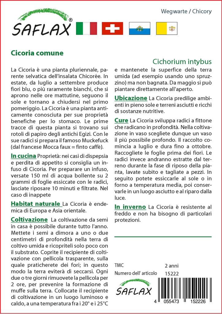 SAFLAX Garden in the Bag - Цикорий - 250 семян - С субстратом в подходящем пакете - Cichorium intybus
