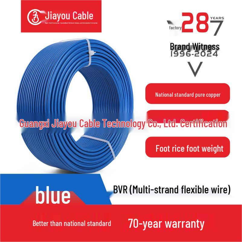 Jiayou BVR Multi-Strand Soft Copper Wire for Home Decoration (1/2.5/4/6 Sq mm)