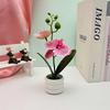 Potted Faux Phalaenopsis Flower For Event Decor And Indoor Embellishment Home