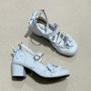 Ballet Style Thick Heel Women Lolita Mary Jane Shoes Fashion Butterfly-knot Outdoor Women's Party Dress Pumps