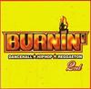 CD РАЗНЫЕ - Burnin': 2 UICZ1220 Япония Музыка Другое Б/У