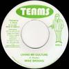 7inch Record MIKE BROOKS - Living My Culture / Holy Jah Jah NONE Teams 2007 Jamaica Reggae, Ska & Dub Used