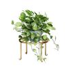Cream White Round Metal Flower Pot Stand