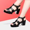 Small Size 32-43 Fashion Thick Bottom Platform Sandals Summer 2025 Block High Heels Gladiator Sandals Women Shoes Model Office