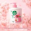 Dettol Увлажняющее антибактериальное мыло для рук, Цветочный аромат, 2x450 г