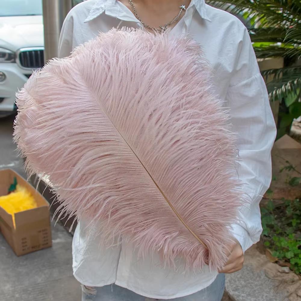 15-60Cm Natural Ostrich Feathers | High-Quality For Diy, Wedding, Party, Stage, Costume & Home Decor | Various Colors Available