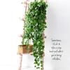Artificial Ivy Wall-Hanging: Green Trailing Spider Plant Vines with Leaves