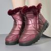 Women Snow Boots Warm Fur Ankel Boots Waterproof Winter Plush Women Shoes Antilsip Fashion Women Boots Platform Slip On Boots