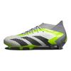 adidas Predator Accuracy.1 FG Crazyrush Pack унисекс кроссовки белые облачно-белые Core-черные GZ0035