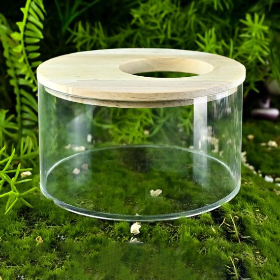 Sand Container Creative Design Wide Applicability Transparent Acrylic Critter Sand Bath Box