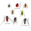 Simulation Insect Uang Cicada Cricket Frog Gardening Micro-landscape Decoration Teaching Refrigerator Stickers