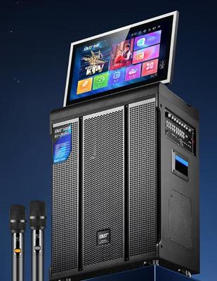 SAST SA-506 Портативная уличная KTV система с сенсорным экраном, штепсель CN (адаптер в комплекте)