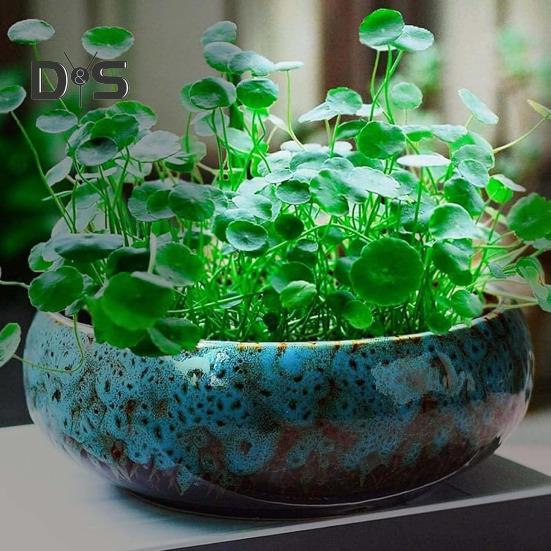 Кашпо для лотоса с большим отверстием, керамический цветочный горшок для лотоса, глазурованная чаша для золотых рыбок, чаша для бонсай, горшок для лотоса для гидропонных растений, нарцисс