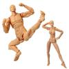 Привлекательные манекены для рисования Body-chan и Body-kun, фигурка в масштабе 1/12, кукла, позируемая фигурка, манекен для манги и иллюстраций, кукла для рисования, базовая фигурка, мужская F