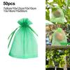 50pcs Garden Plant Protect Mesh Bag Mesh Against Pest Bird Fruit Protect Drawstring Net Bag For Fruits Tomatoes Flower Plant Bag