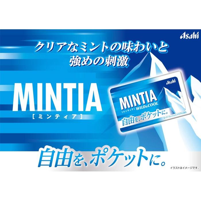 Asahi Group Foods Mintia Wild & Cool 50 штук x 10 упаковок, Белый