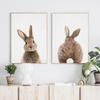 Bunny Rabbit Tail Wall Art Picture Woodland Animal Canvas Poster Nursery Print Minimalist Painting Nordic Kids Baby Room Decor