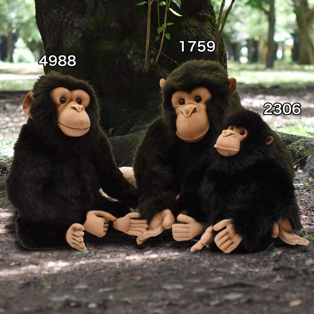 HANSA Chimpanzee No.1759