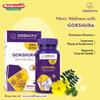 Сиддхаю от Байджанатх Таблетки Гокшура 80 штук Мужское здоровье Иммунитет Усилитель силы