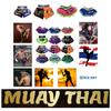 Muay Thai Shorts Pants Kickboxing Boxing MMA UFC Martial Arts Fight Unisex Men Women Kid Quick Dry Print Elastic High Waist Polyester Training