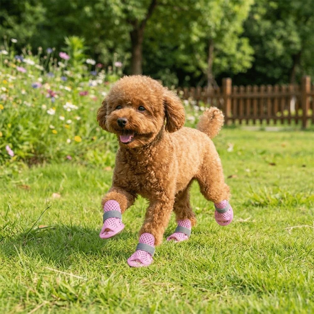 4Pcs/Set Soft Summer Dog Shoes Non-Slip Hollow Puppy Shoes Dog Paw Protector for Small Medium Dogs