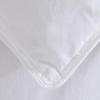 Пуховое одеяло Bejirog Arctic White