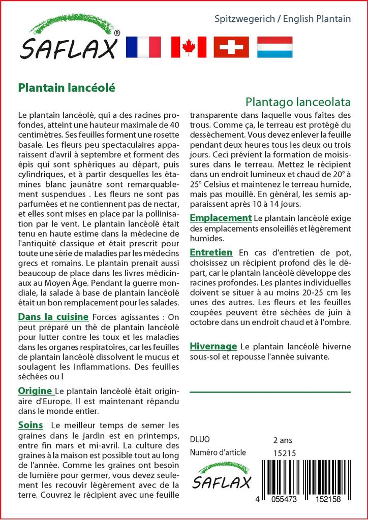 SAFLAX Garden in the Bag - Подорожник английский - 100 семян - С субстратом в подходящем пакете - Plantago lanceolata