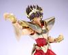 Bandai ДУХИ Saint Cloth Myth EX Pegasus Seiya Bronze LIMITED NATIONS TOKYO (Новая Ткань) ~ЗОЛОТОЕ ИЗДАНИЕ~ (ТАМАШИИ ограниченный)