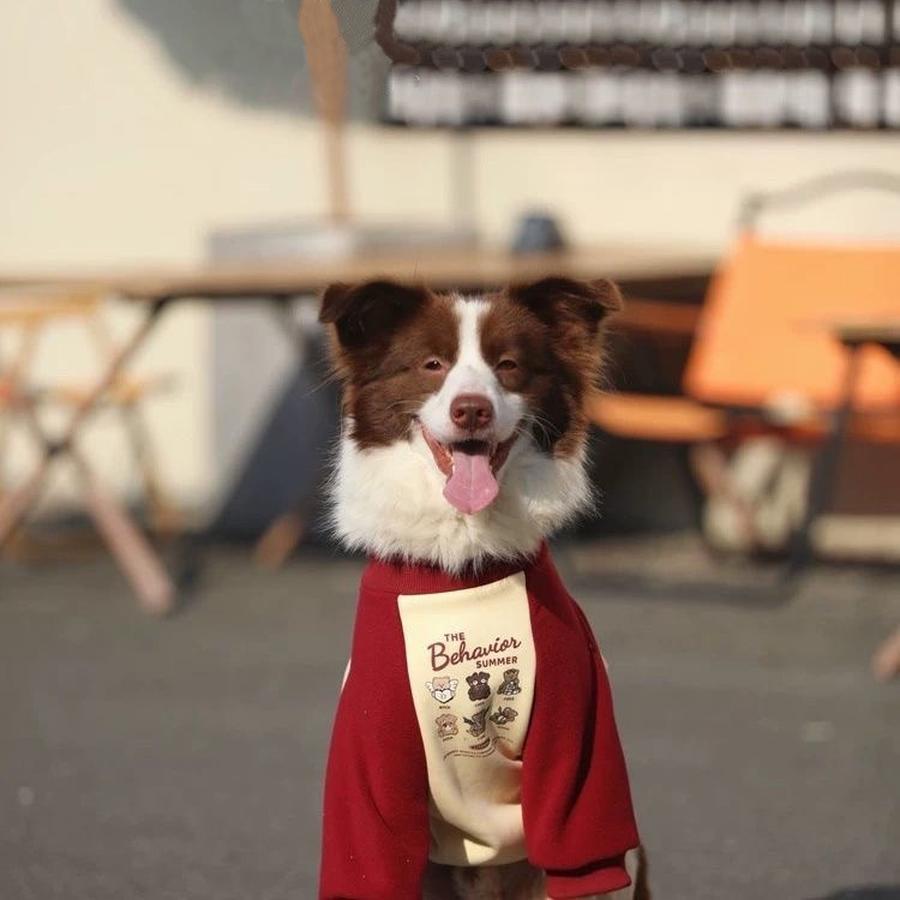 Warm Winter Fleece Pet Clothes for Large Breeds - Golden Retriever, Shepherd, Labrador, St. Bernard