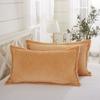 Fleece Pillowcase Pair with Double-sided Winter Thickening Single Double Warm Flannel Coral Velvet Adult Pillowcase