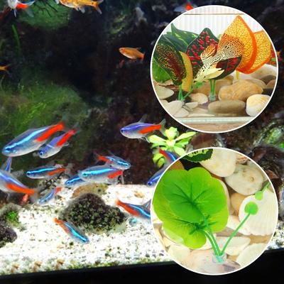 Рыбки и морские животные – Оформление аквариума