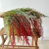 Artificial Phalaris Arundinacea Floral Decor For Living Room And Photo Prop