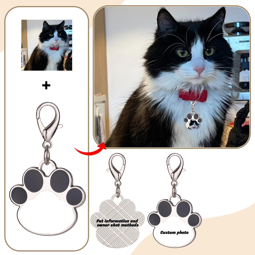Custom Stainless Steel Anti-loss Personalized Tag Dog Tag Pet Tag