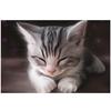 Алмазная вышивка Милый кот Полный круглый дрель Спящий кот Алмазная картина Вышивка крестом