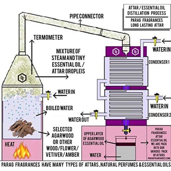 Parag Fragrances Its Only For Vip Men Парфюм-спрей 120 мл / 1200 спрей для мужчин (Стойкие духи/ароматы для мужчин)