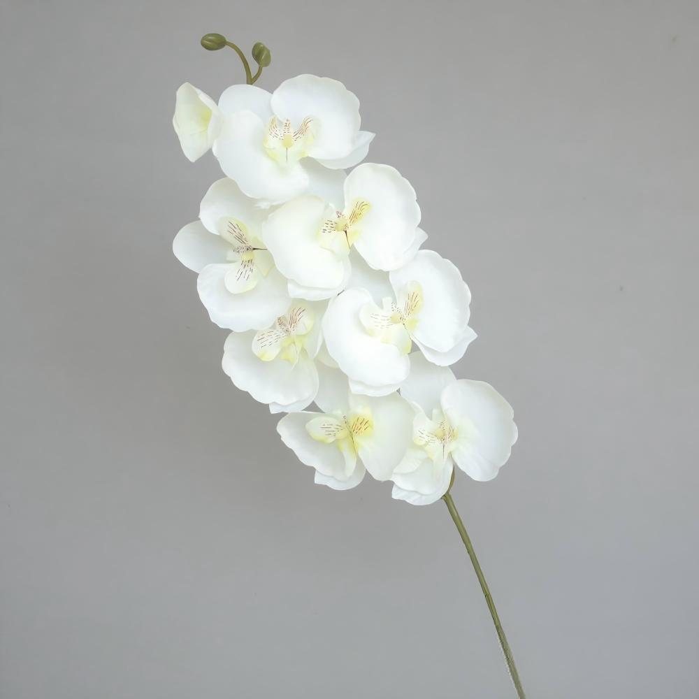 8 Heads Silk Cloth Artificial Phalaenopsis Orchid Faux Floral for Home Window Display Living Room Table Decoration