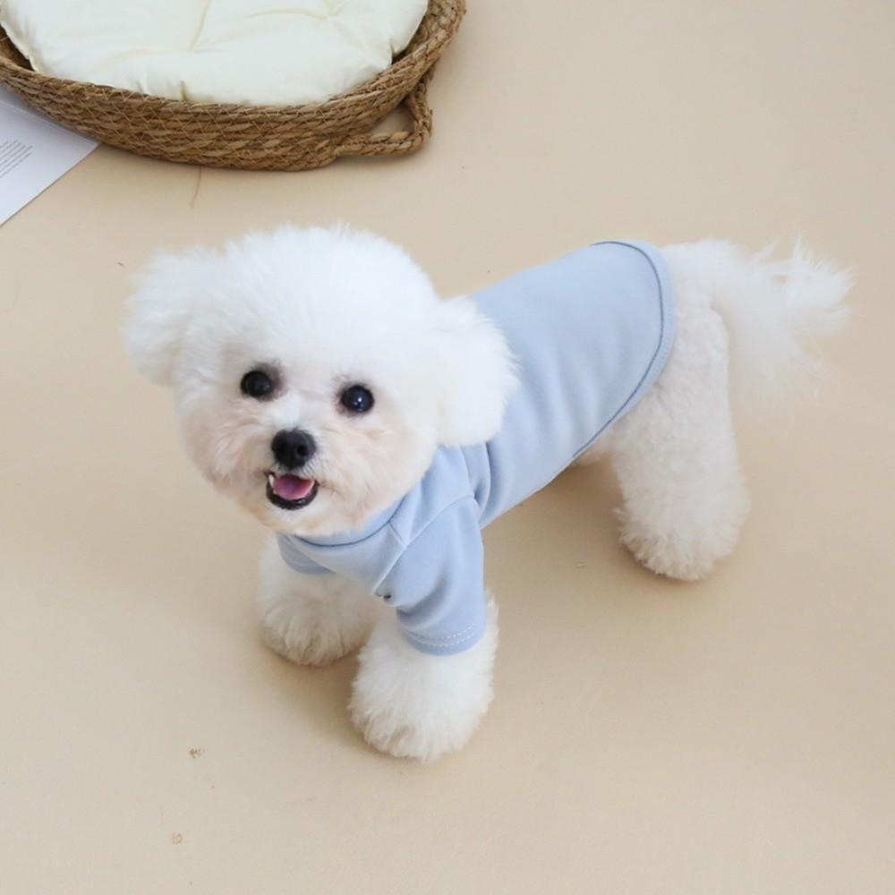 New Solid Color Puppy Hoodie Simple Design 2-leg Style Dog Warm Hoodie Soft Cotton Pet Bottom Shirt Daily Wear