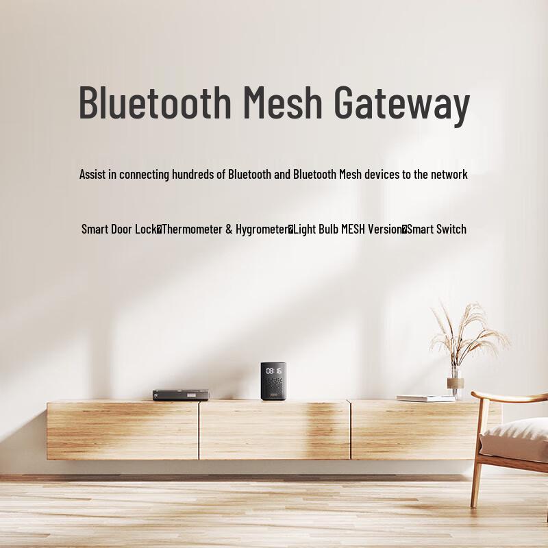 Xiaomi Xiaoai Speaker Play Enhanced Edition CN plug (adapter included)