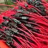 5/10 шт. 14AWG автомобильный мини-предохранитель, держатель предохранителя лезвия, водонепроницаемый для 2 В 30 А, автомобильный, мотоциклетный, гнездо выключателя