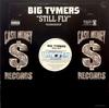 12-дюймовая пластинка BIG TYMERS - Still Fly 4228609951DJ Cash Money Reco 2002 US Рэп и Хип-Хоп/R&B Б/У