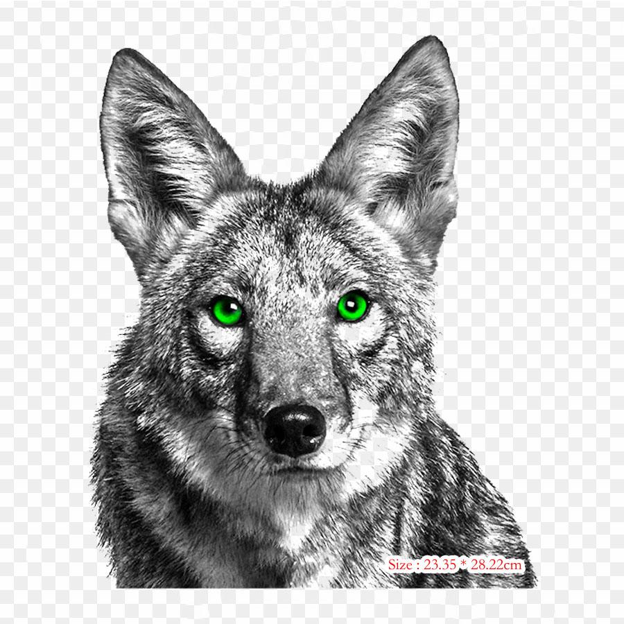 Coyote Bird Iron On Heat Transfer Printing Vinyl Patches Sticker for Clothes DIY Appliques Washable Patches