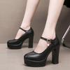 9cm 12cm Big Small Size 32-43 Elegant Shallow Wedding Shoes Women Pumps 2025 Spring Block High Heels Shoes Model Dress Office