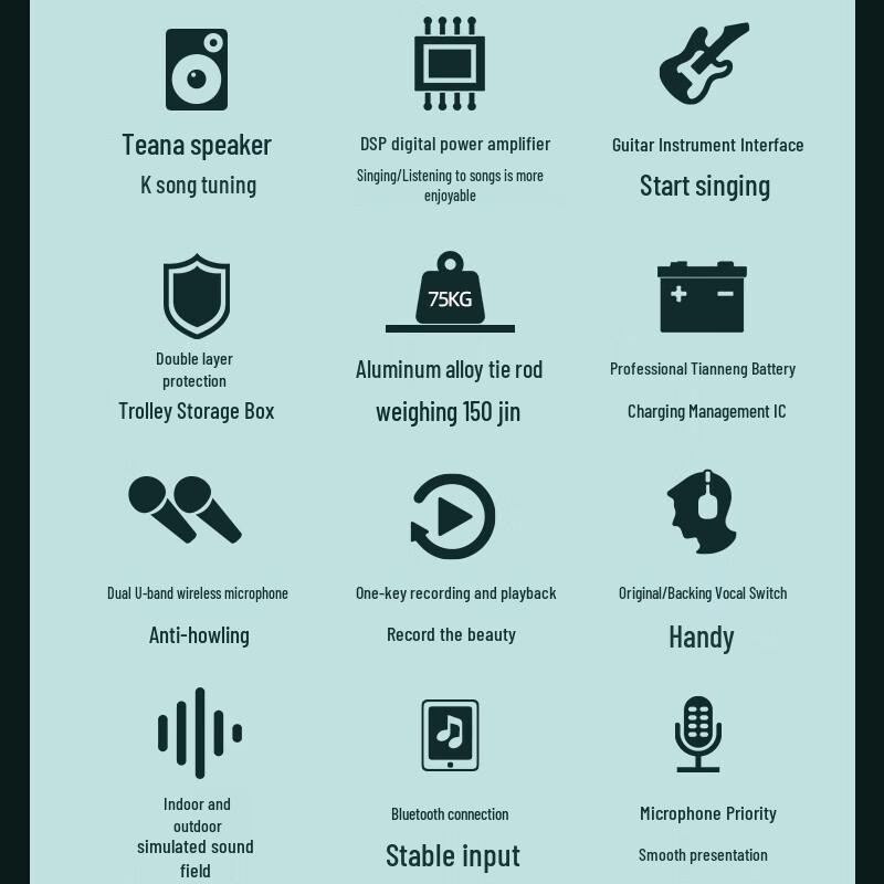 SANSUI Уличный Портативный KTV Колонка-тележка