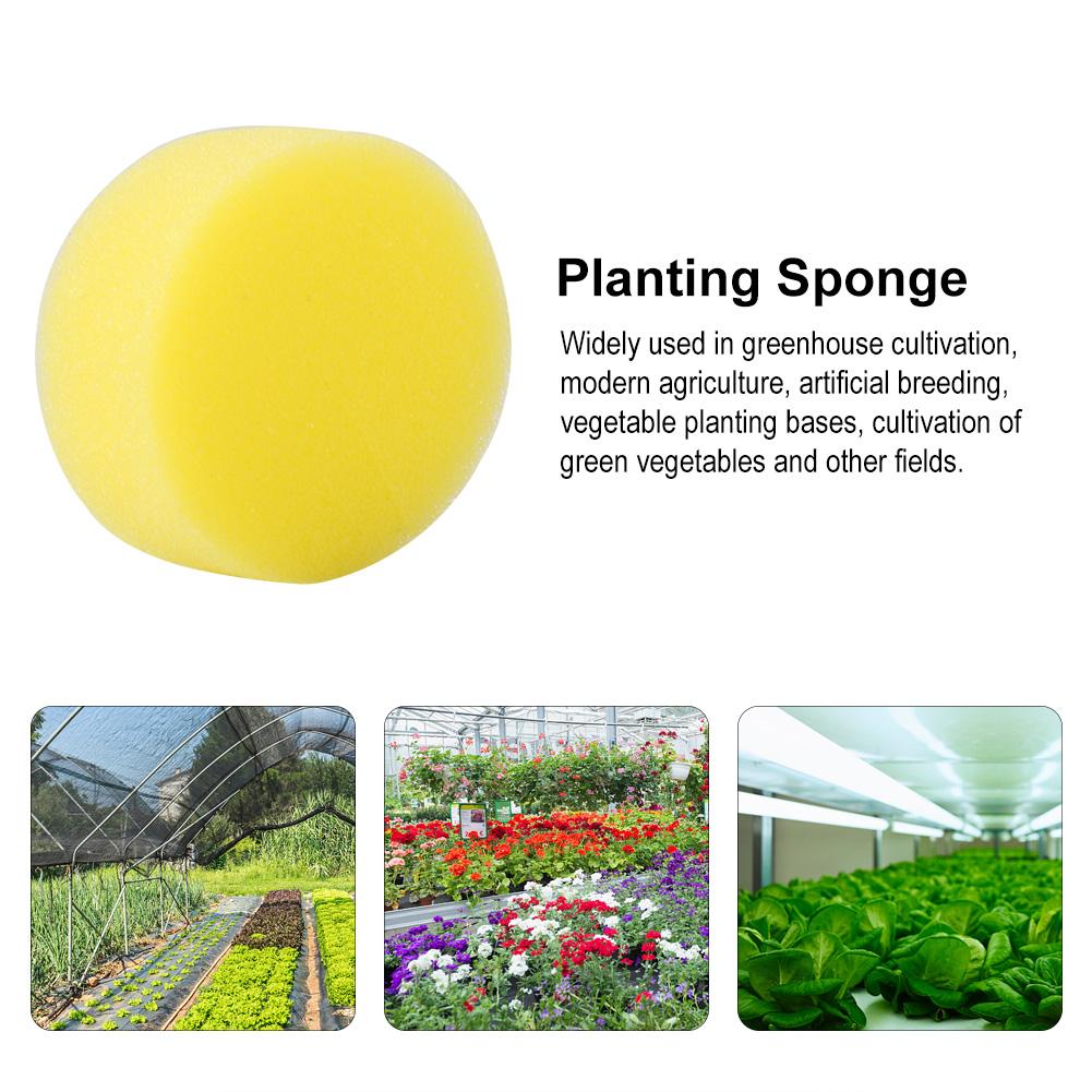 50pcs Soilless Hydroponic Sponge Planting Seedling Sponges for Greenhouse (Black)