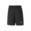 Puma Team Goal Training Shorts Asian Fit  65940903 