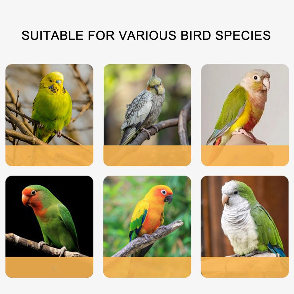 Нержавеющая сталь Попугай Ножной браслет Домашняя птица Страховочная шлейка Авиационные приключения Снаряжение для безопасного обращения с птицами