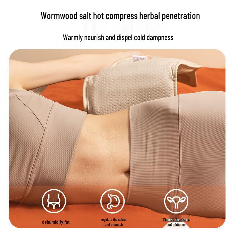 CLORIS Infrared Moxibustion Hot Compress Massager CN plug (adapter included)