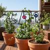 Human Face Shaped Plant Climbing Trellis Abstract Line Plant Support Frame  Indoor